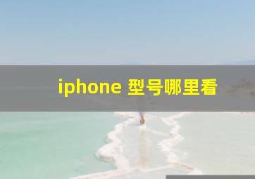 iphone 型号哪里看